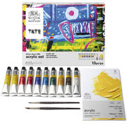 Gillian Ayres acrylic paint set